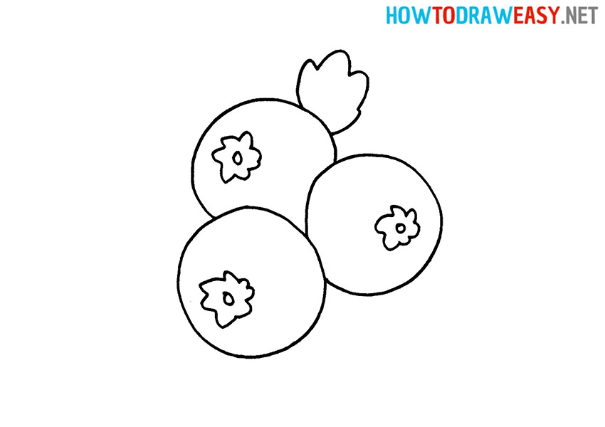 How to Draw a Simple Blueberries