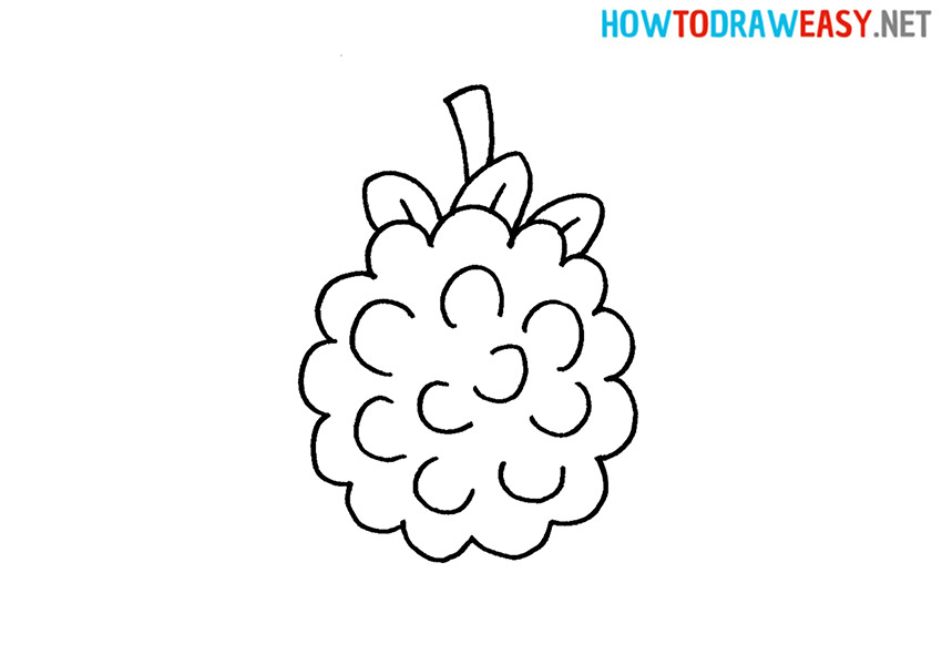 How to Draw an Easy Blackberry