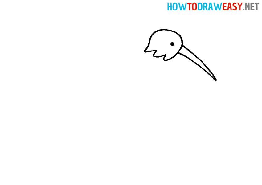 How to Draw an Easy Kiwi Bird