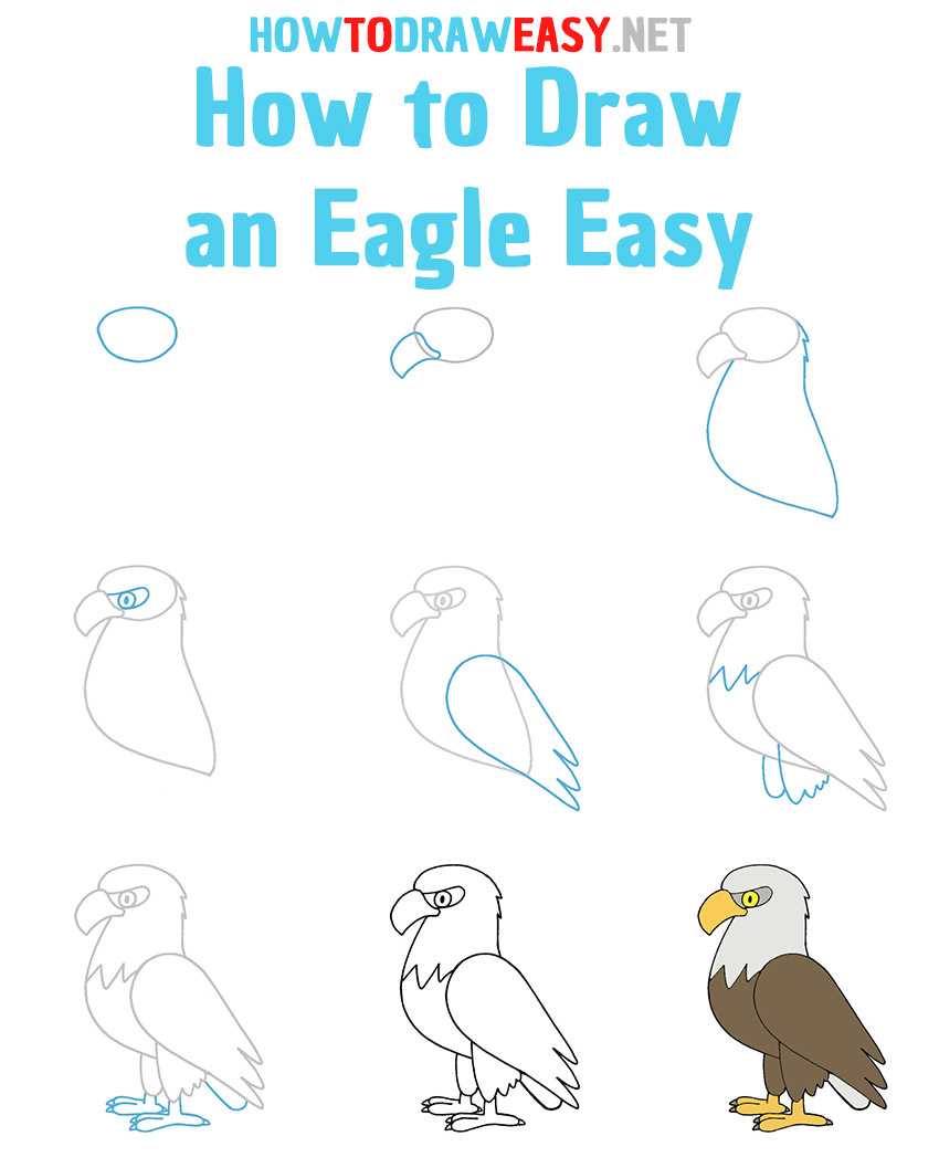 Bald Eagle Drawing