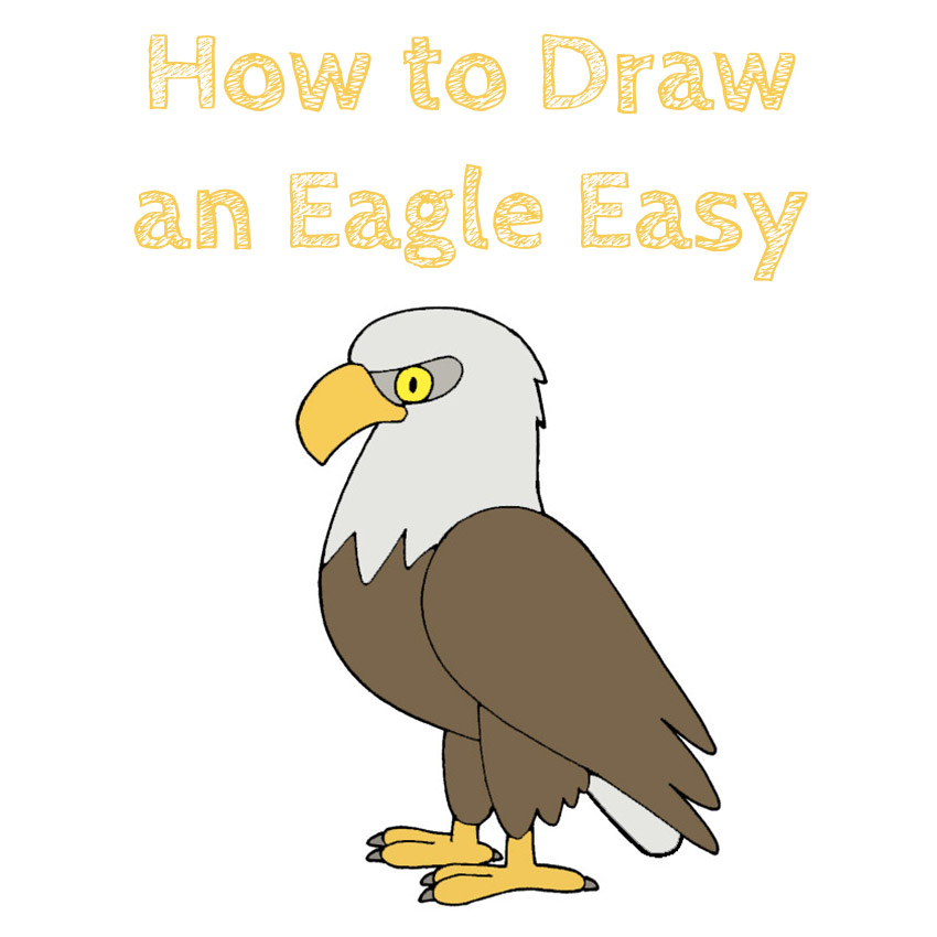Eagle Drawing Easy