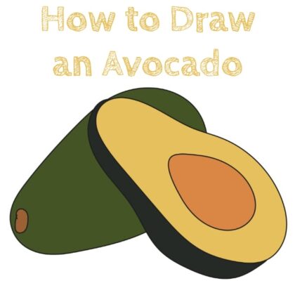 Avocado Step by Step Drawing