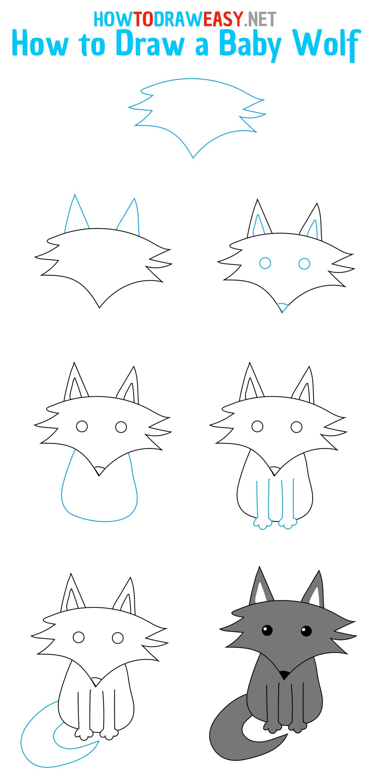 How to Draw a Baby Wolf Step by Step