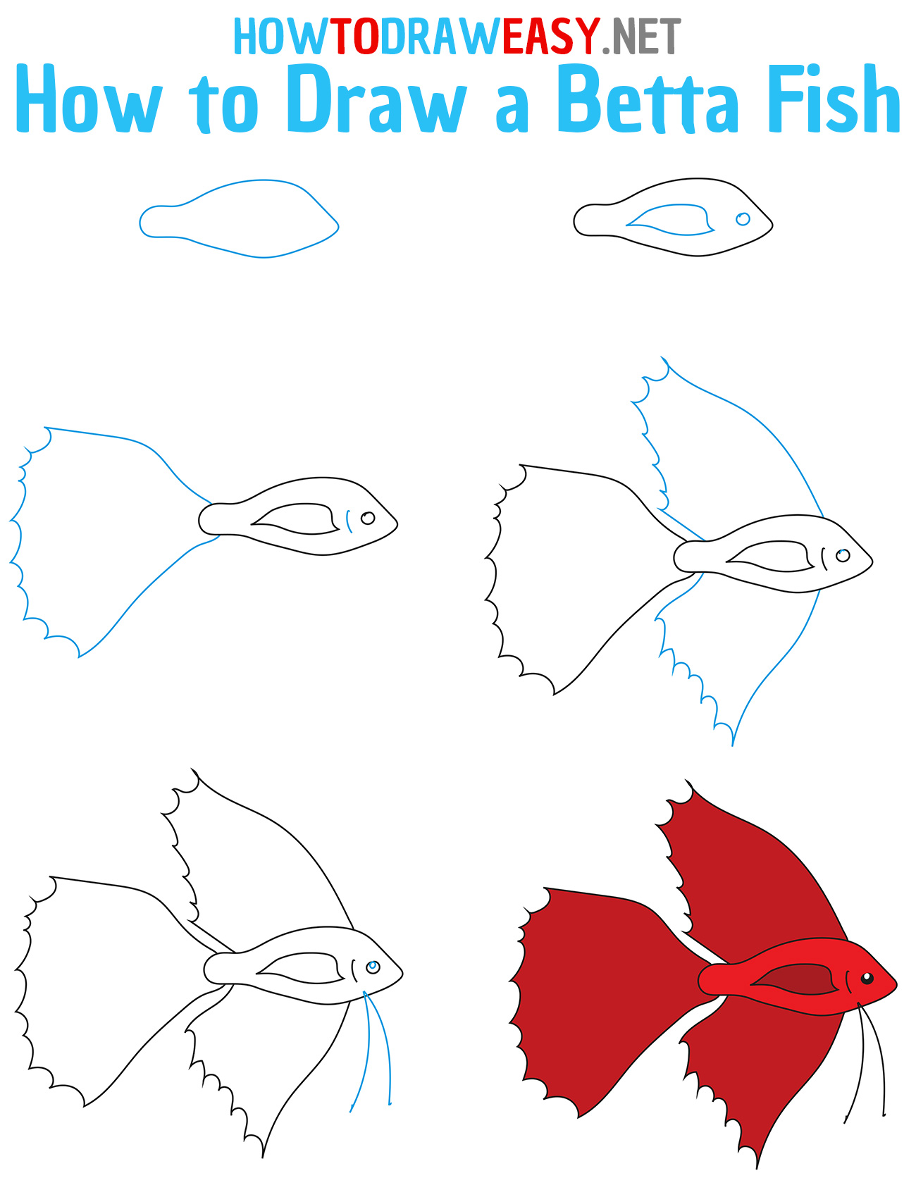 How to Draw a Betta Fish Step by Step