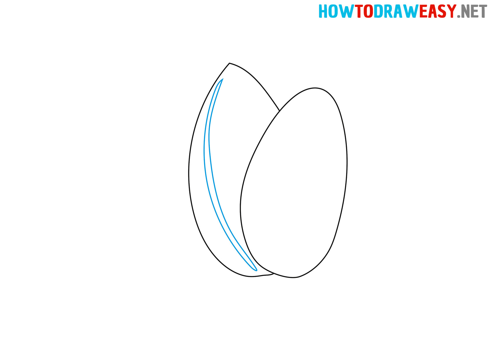 How to Draw a Cartoon Almond