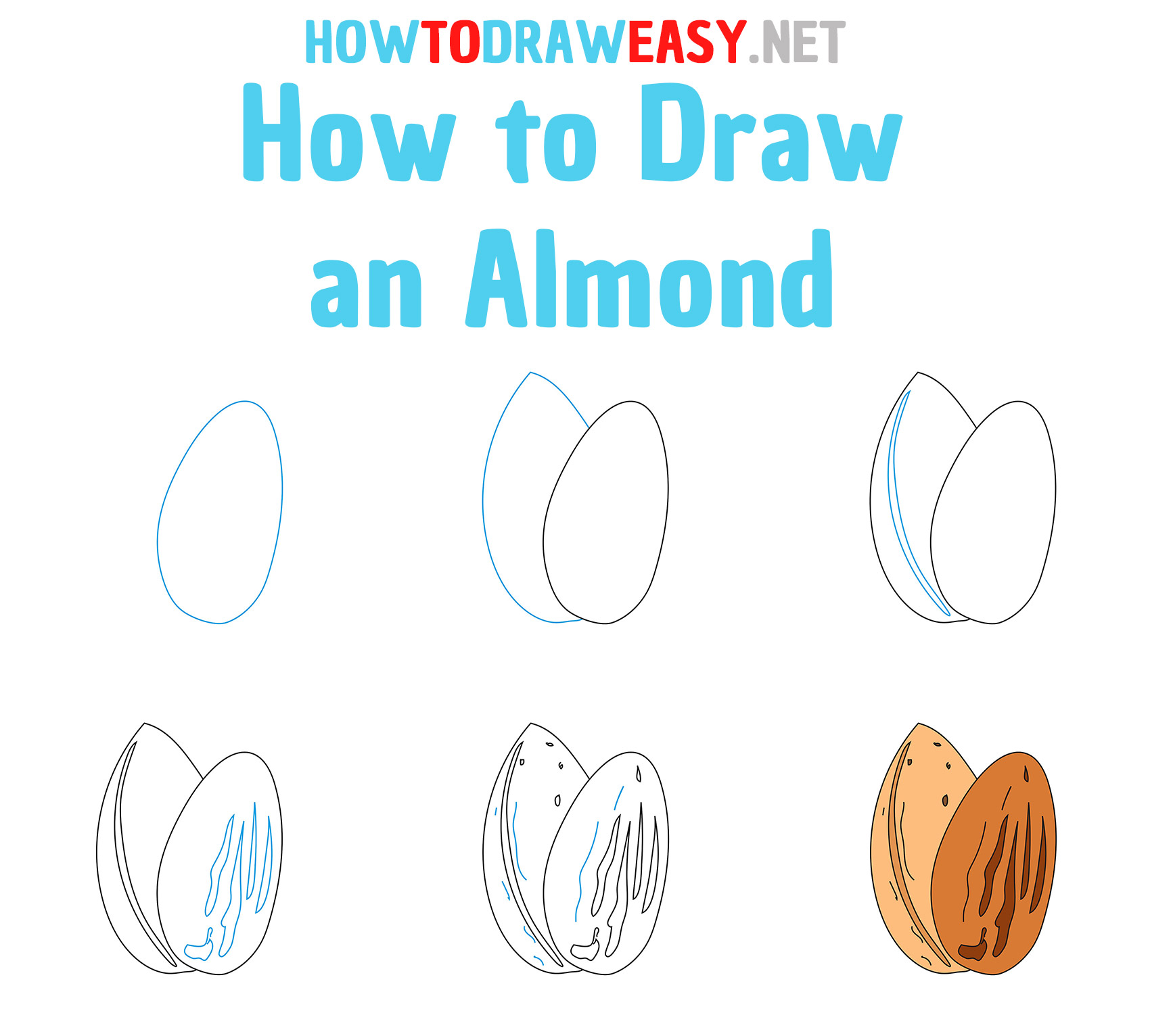 How to Draw an Almond Step by Step