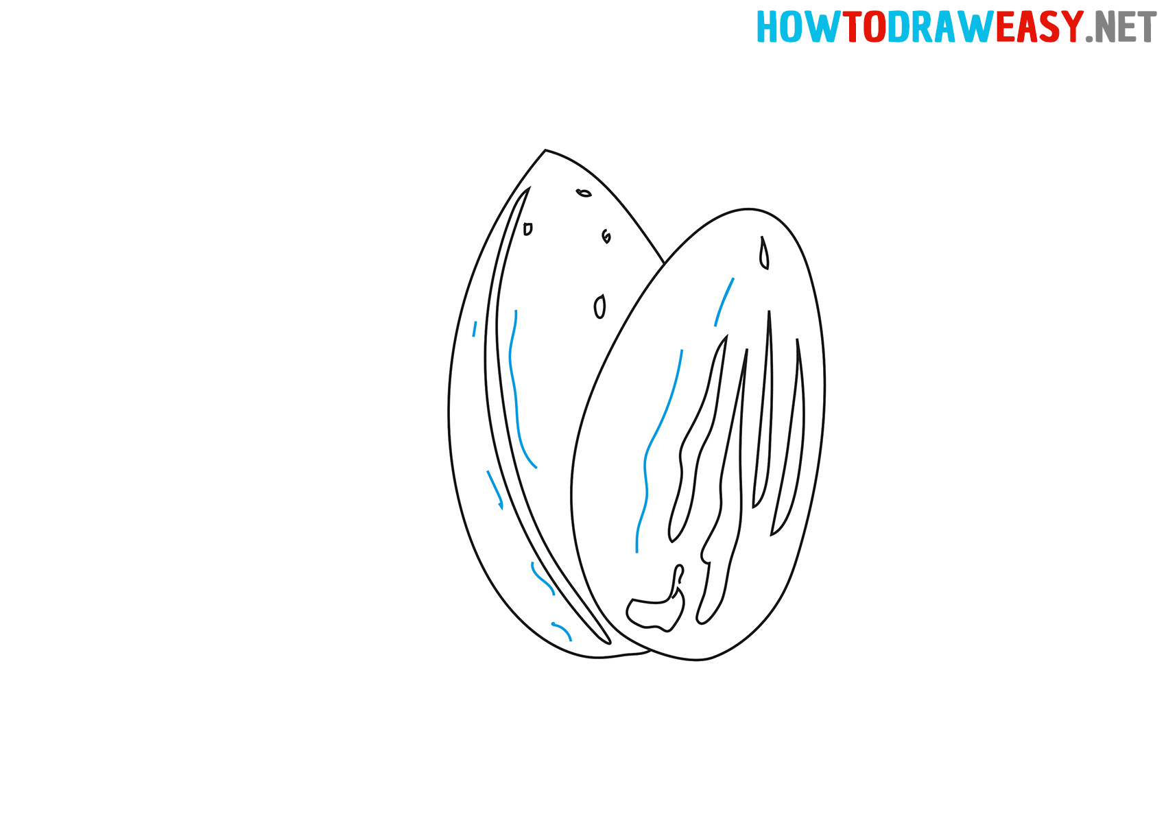 How to Draw an Easy Almond