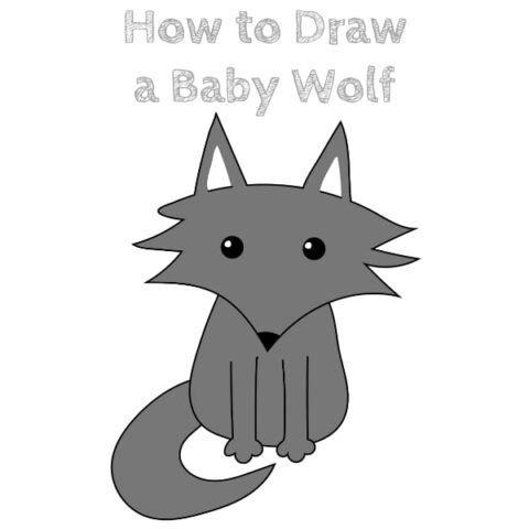 baby wolf step by step drawing