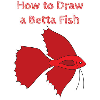 how to draw a fighter fish