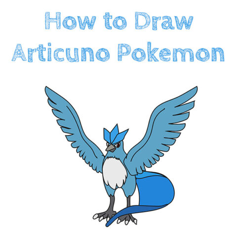 How to Draw Articuno Pokemon for Kids
