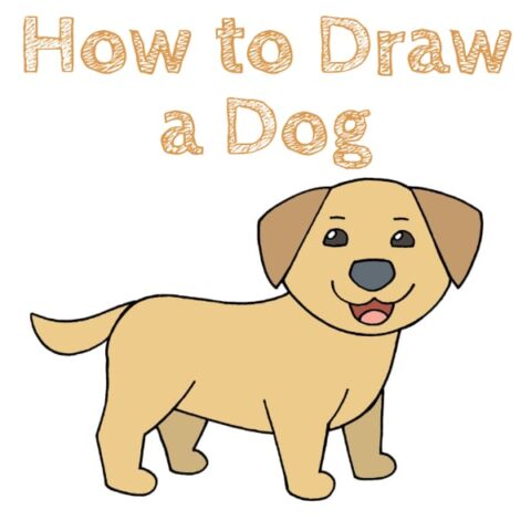 Dog How to Draw