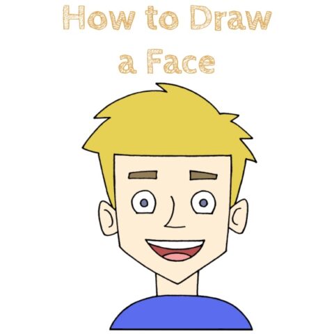 Face How to Draw