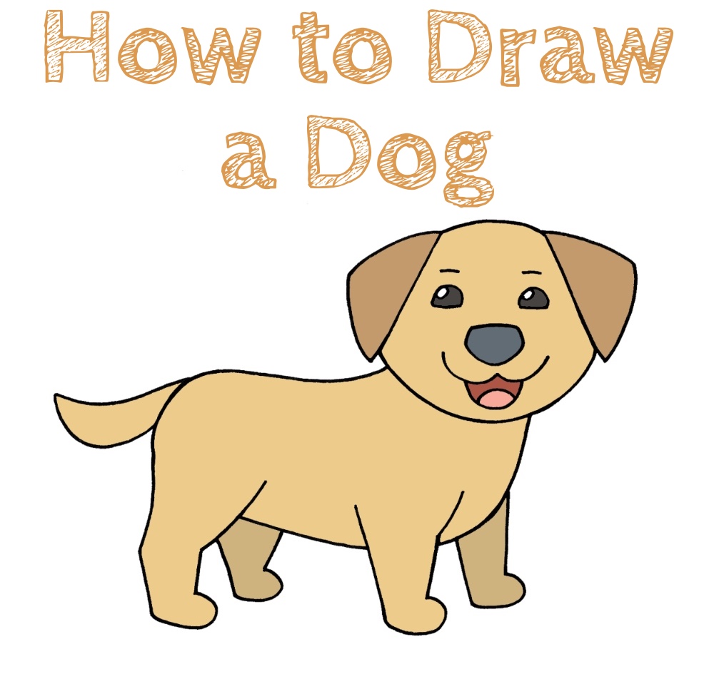 How to Draw a Dog Easy