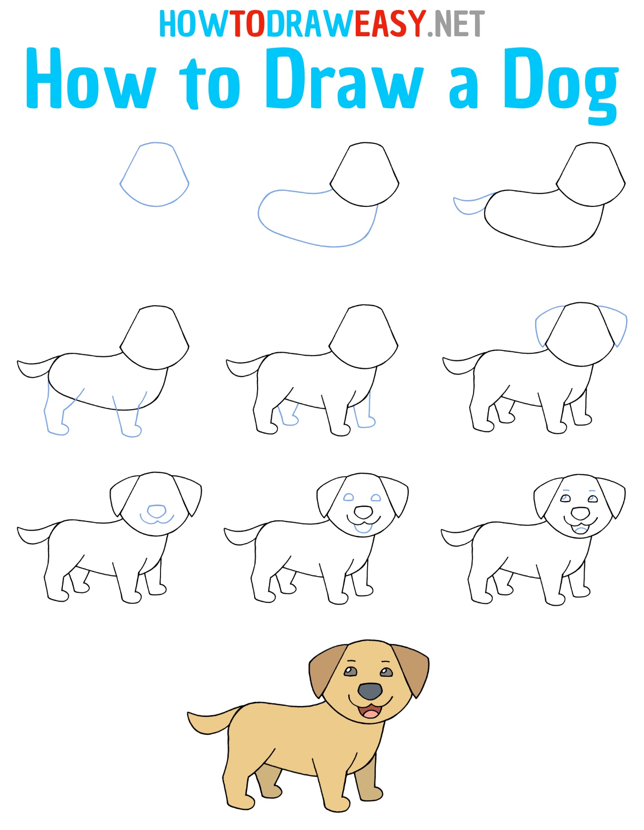 How to Draw an Easy Dog Step by Step