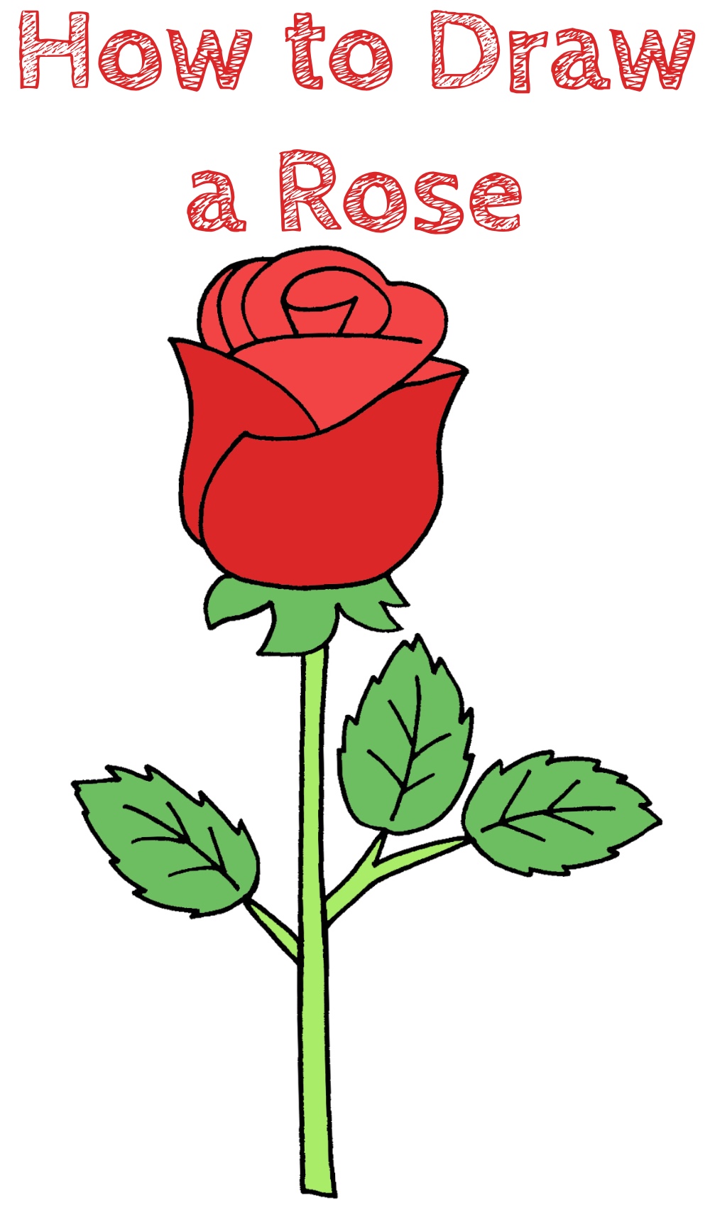 How to Draw an Easy Rose