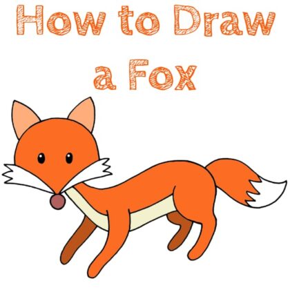 Fox How to Draw