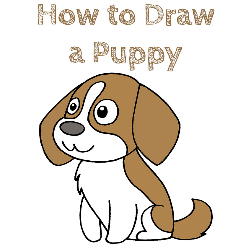 How to Draw a Baby Dog