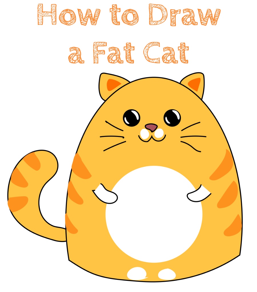 How to Draw a Fat Cat for Kids