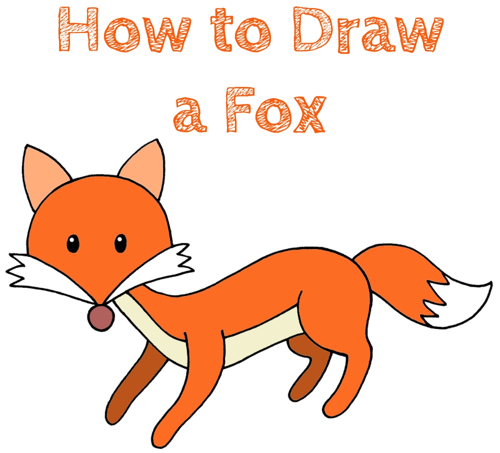 How to Draw a Fox for Beginners