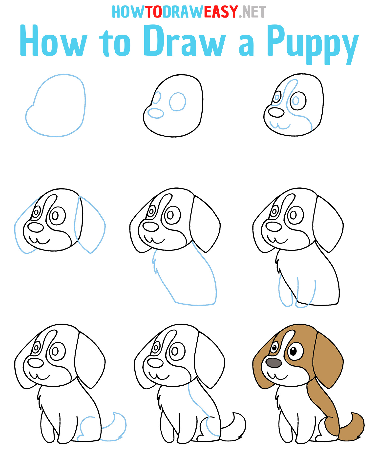 How to Draw a Puppy Step by Step