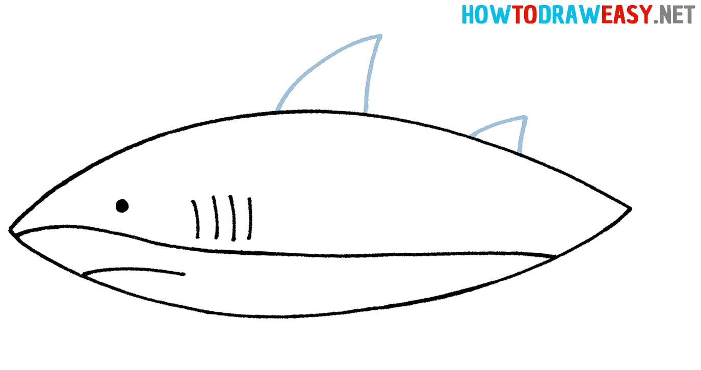 Shark Drawing Tutorial