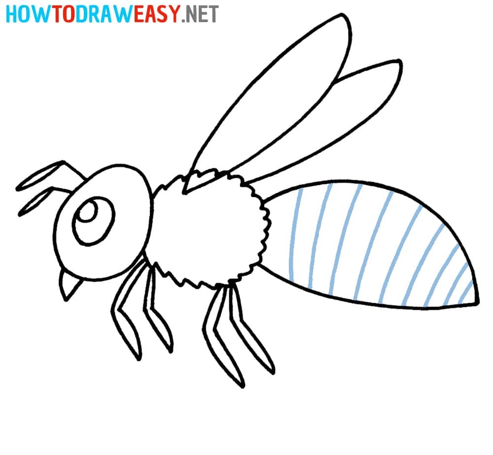 Bee Drawing Tutorial Step 7