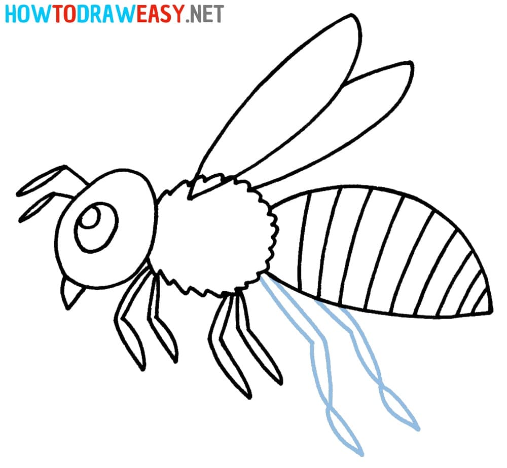 Bee Drawing Tutorial Step 8