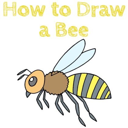 Bee How to Draw