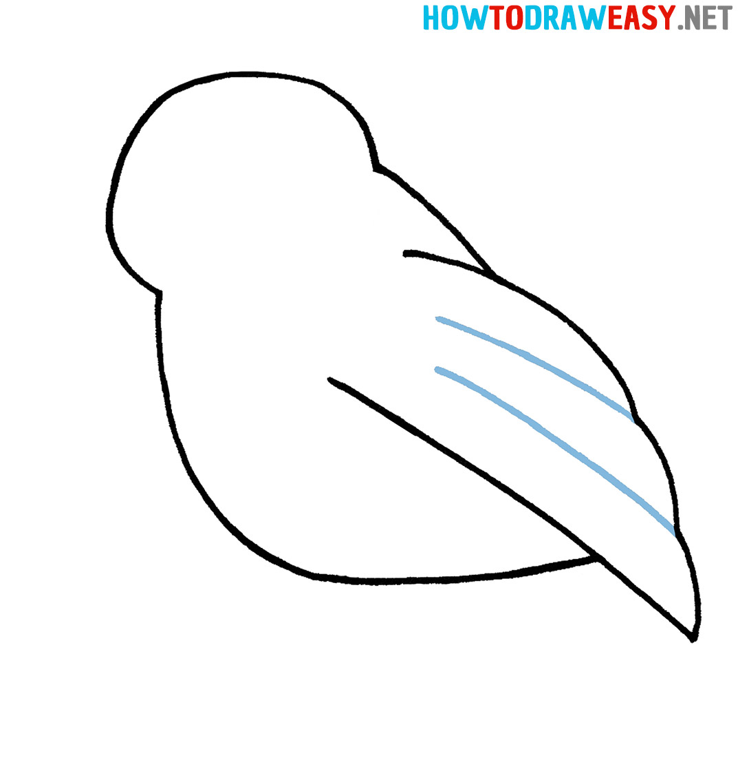 Bird Drawing Guide