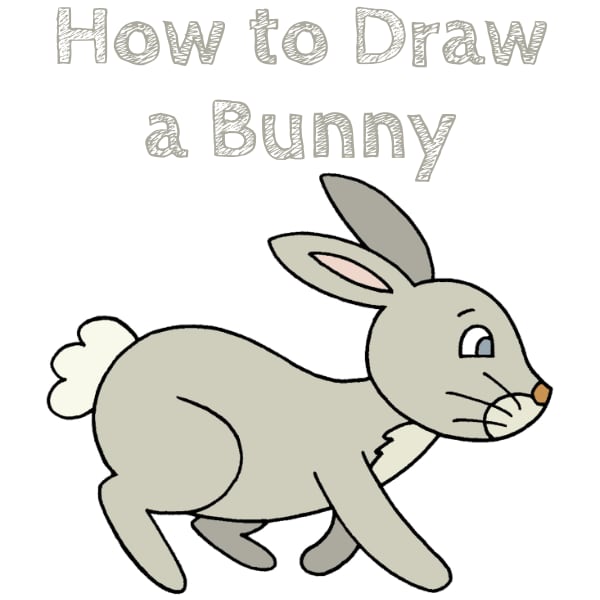 How to Draw a Bunny Step by Step
