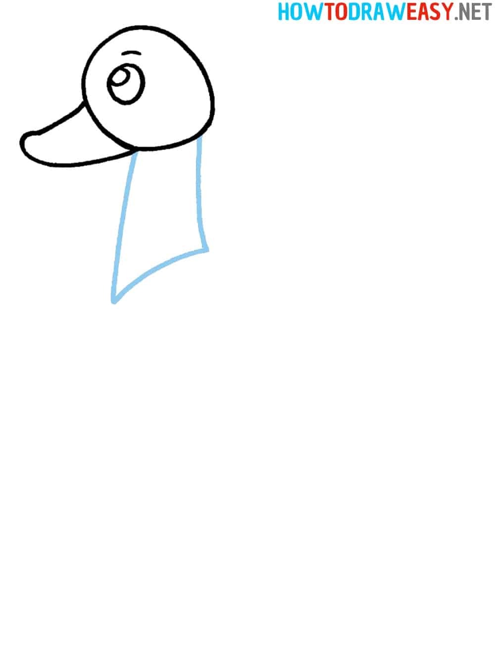 Duck Neck Drawing