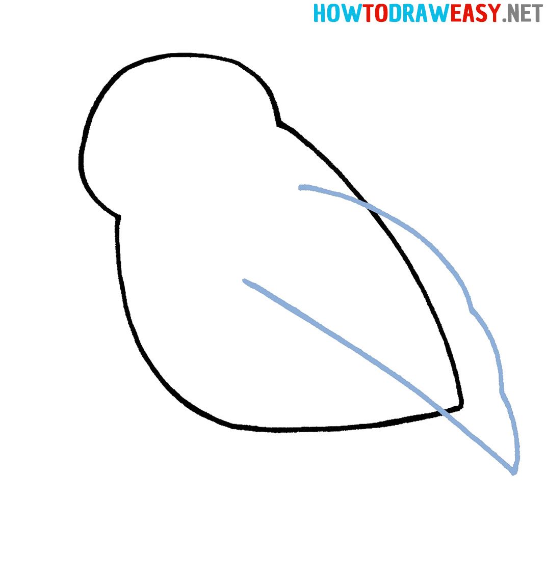 Easy Bird Drawing