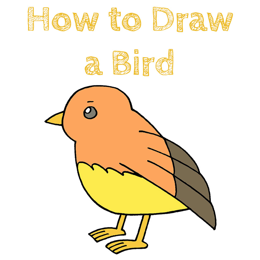 Easy Drawing Bird
