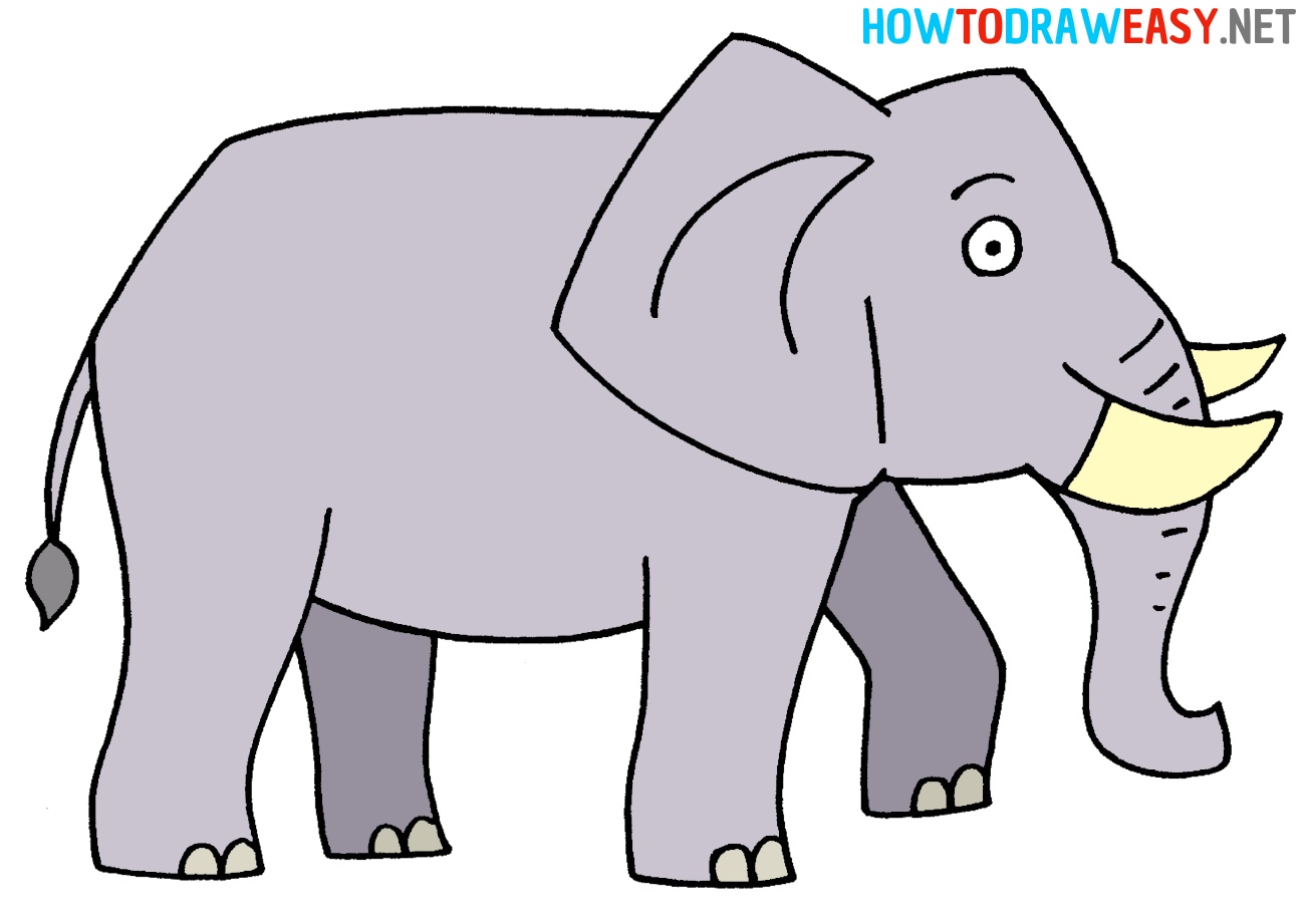 Elephant How to Draw