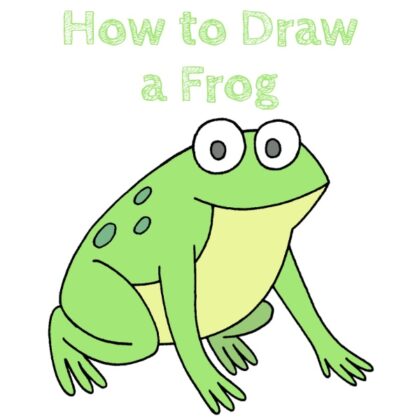 Frog How to Draw