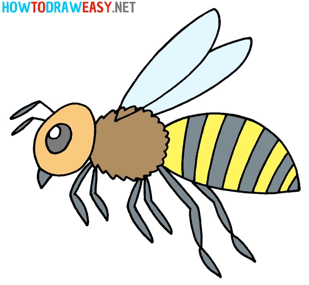 How to Draw a Bee