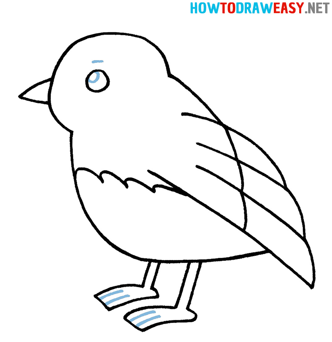 How to Draw a Bird Easy