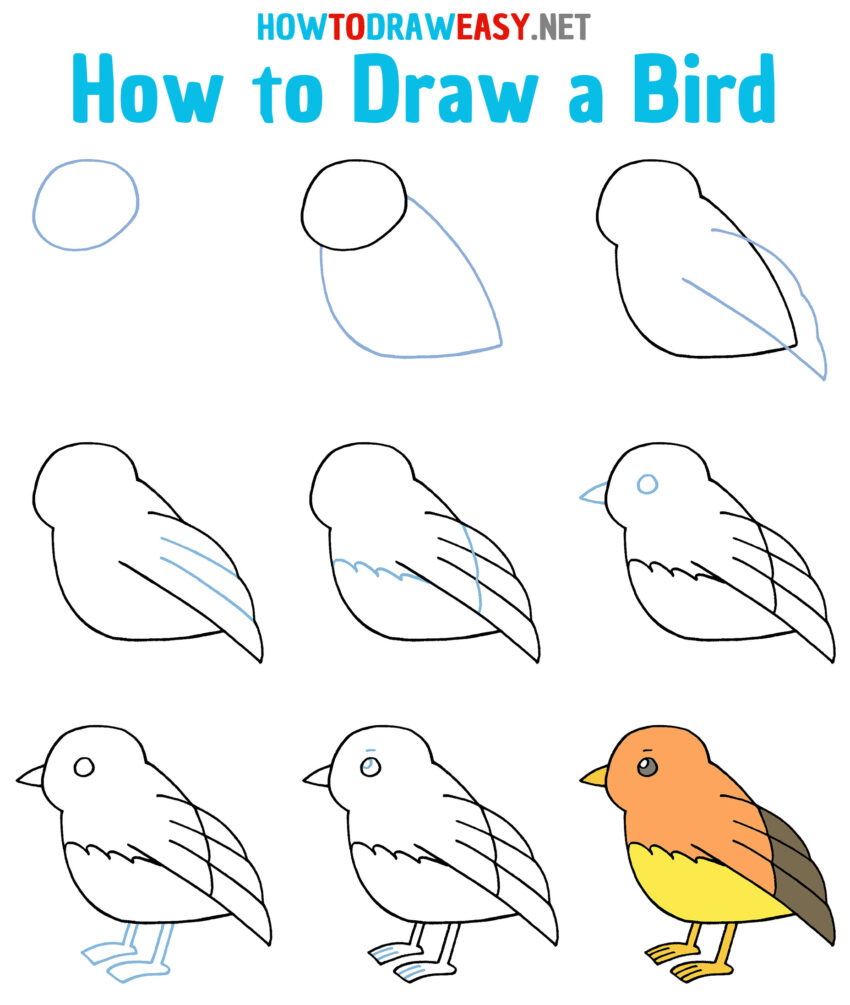 How to Draw a Bird Easy - How to Draw Easy