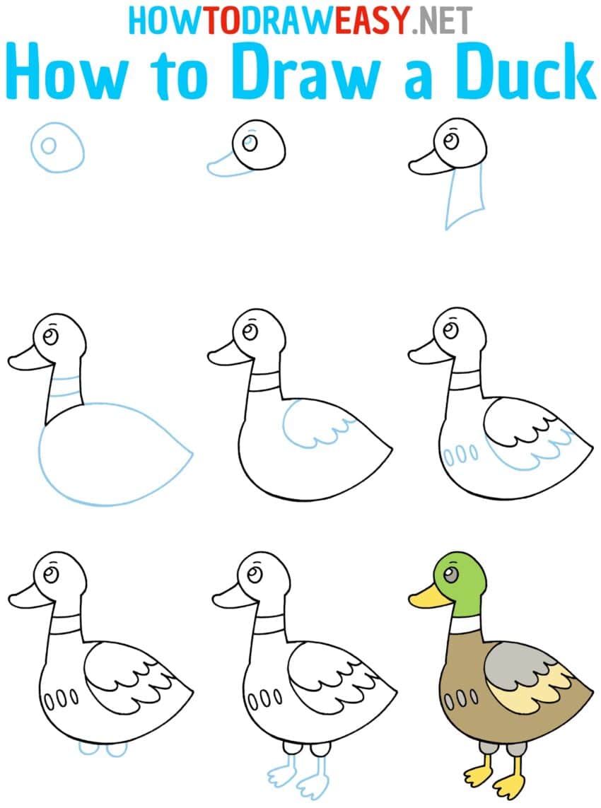 How to Draw a Duck - How to Draw Easy