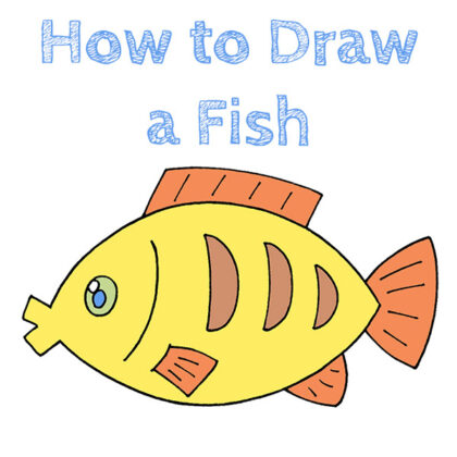 How to Draw a Fish for Beginners