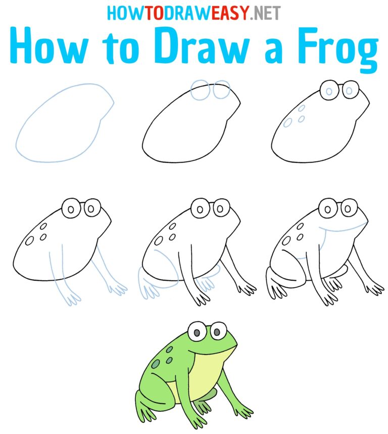 How to Draw a Frog Step by Step - How to Draw Easy