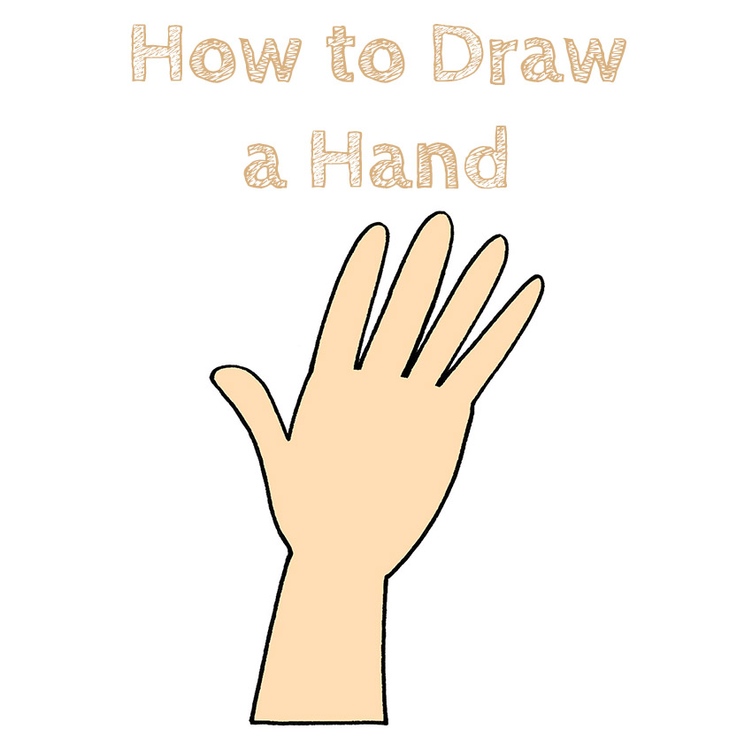How to Draw a Hand for Beginners
