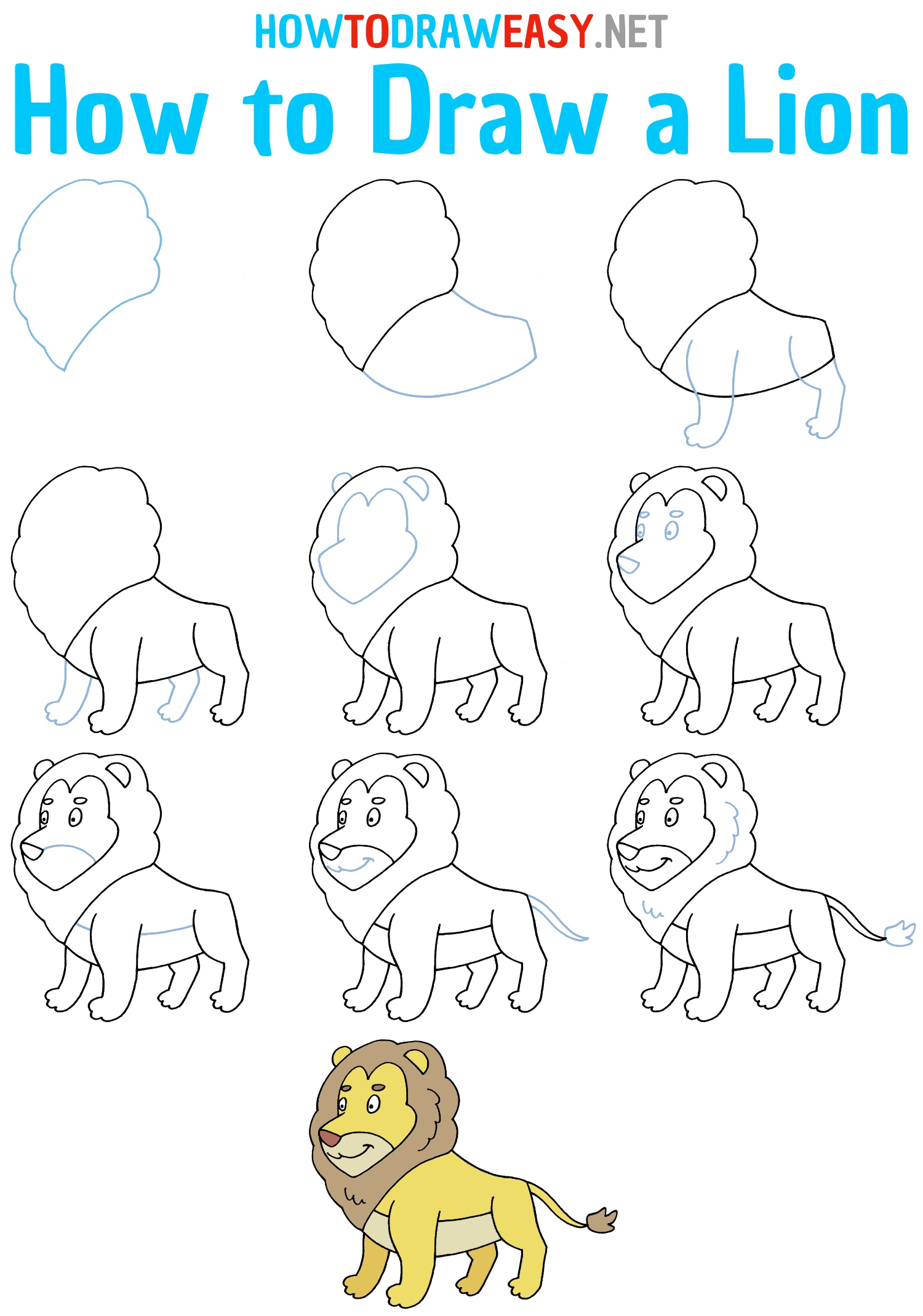 How to Draw a Lion Step by Step