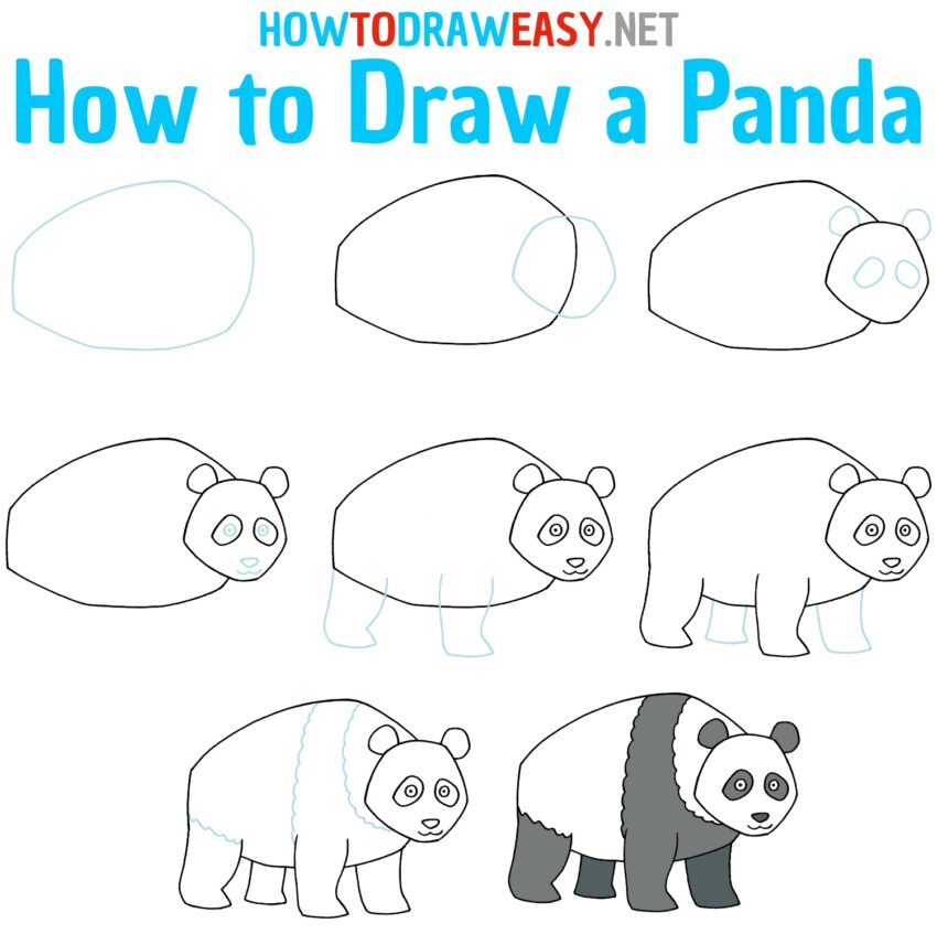 How to Draw a Panda - How to Draw Easy