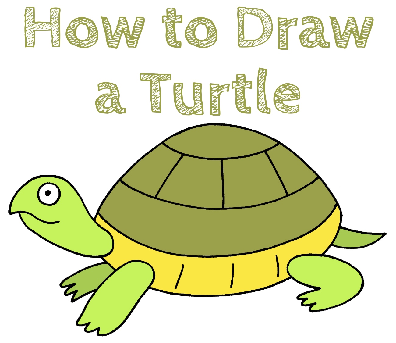 How to Draw a Sea Turtle Easy