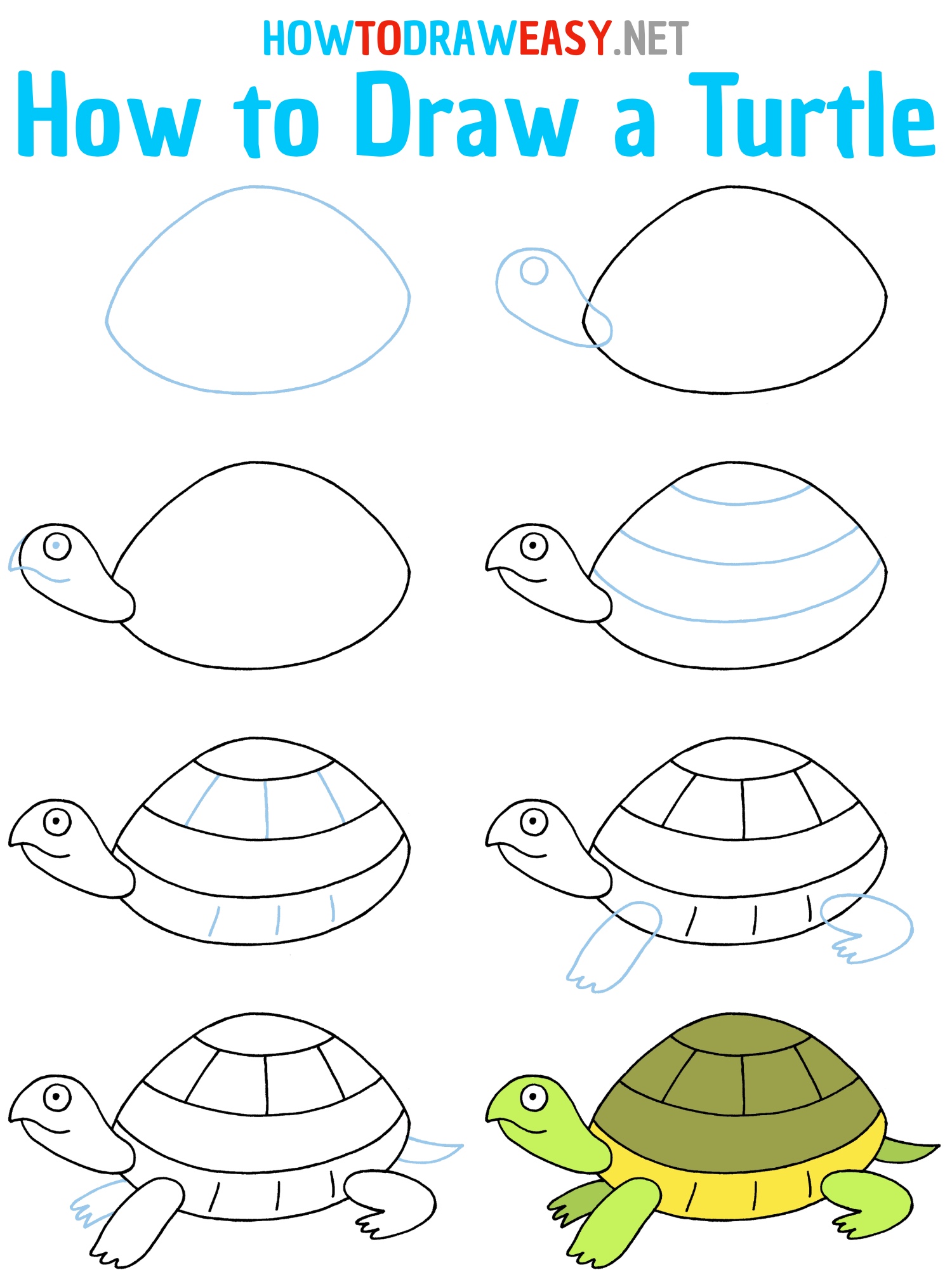 How to Draw a Turtle Step by Step