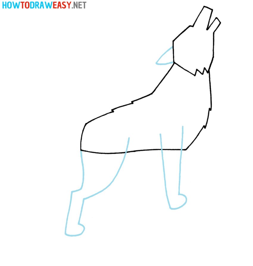 How to Draw a Wolf - How to Draw Easy