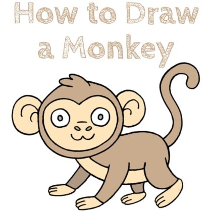 Monkey How to Draw