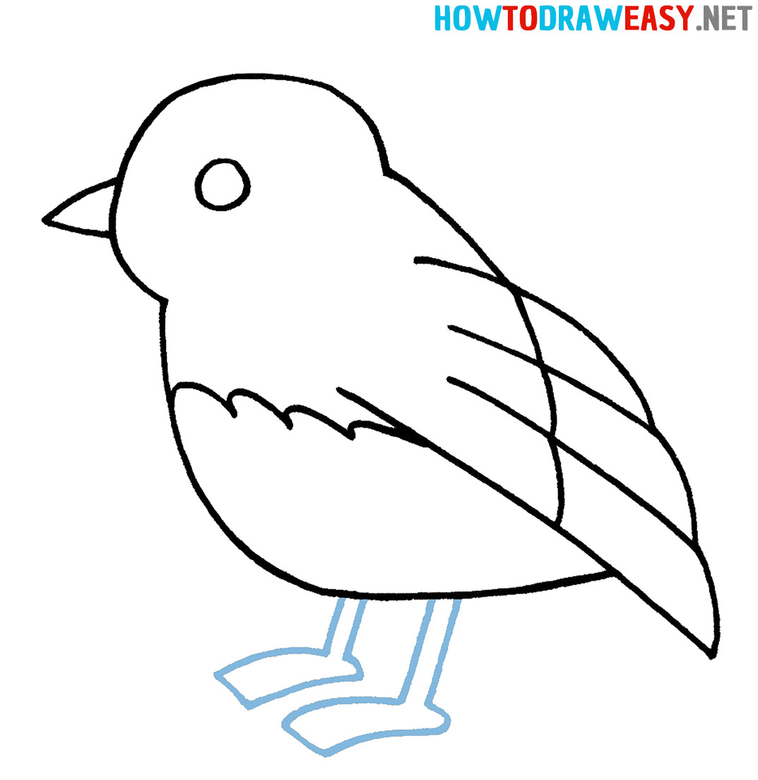 Sketching Bird