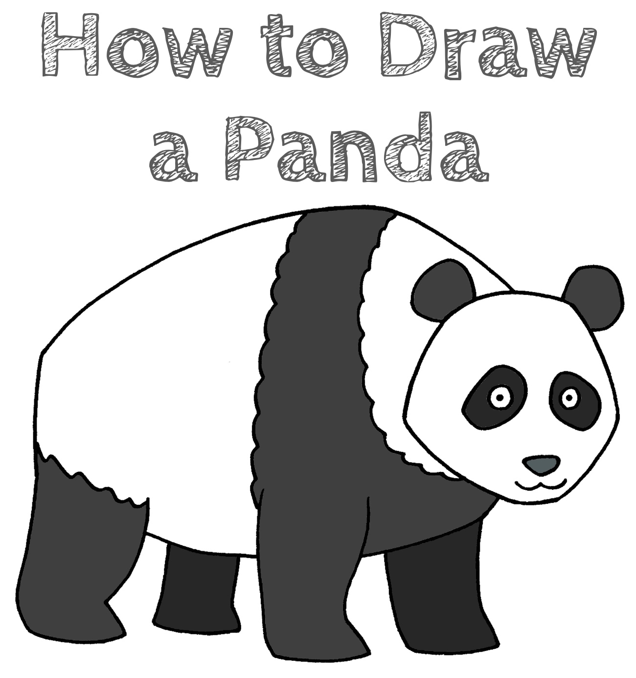 Step by Step How to Draw a Panda